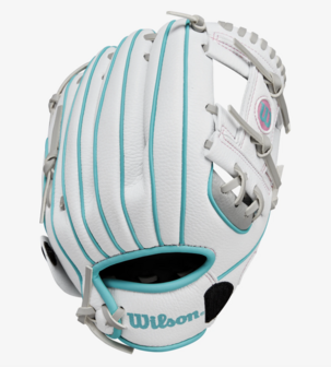 Wilson A200 2024 Beeball Glove EZ-Catch SWTP