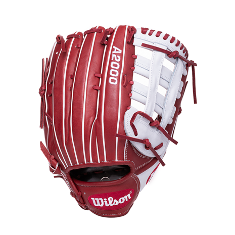 A2000 slowpitch sales softball glove