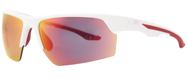 Rawlings 313 Adult Sunglasses